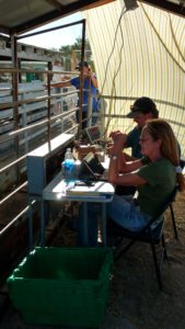 Amy & John helping with livestock weigh-in at fair.