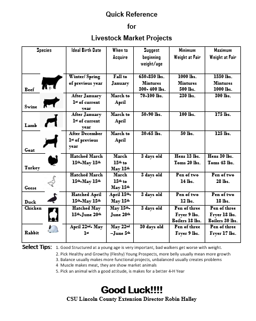 livestock selection guide